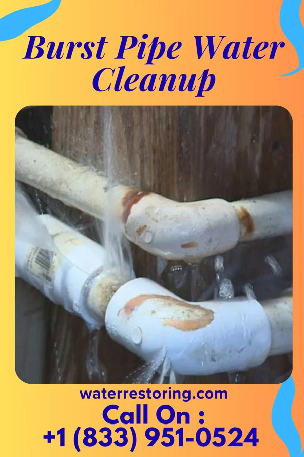 Burst Pipe Water Cleanup in Lafayette, CO